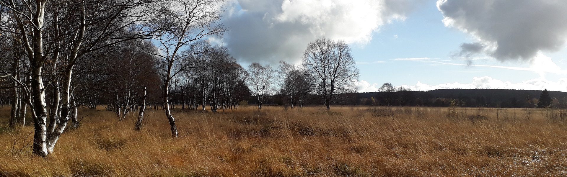 Das Hohe Venn im Herbst